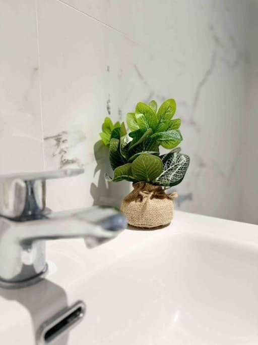 - Cabanyal Boutique Villa Valencia Bagian luar foto