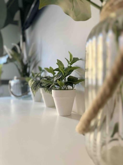 - Cabanyal Boutique Villa Valencia Bagian luar foto